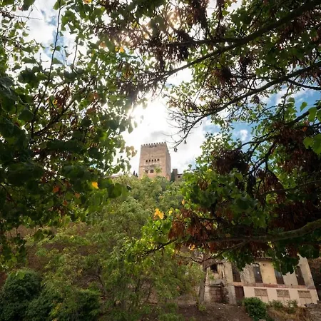 A Pies De La Alhambra, By Daimar 格拉纳达